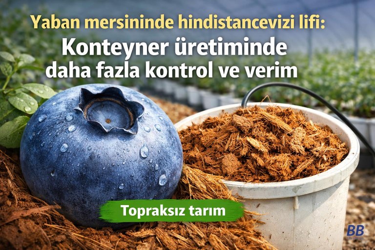 Yaban mersininde hindistancevizi lifi: Konteyner üretiminde daha fazla kontrol ve verim görseli