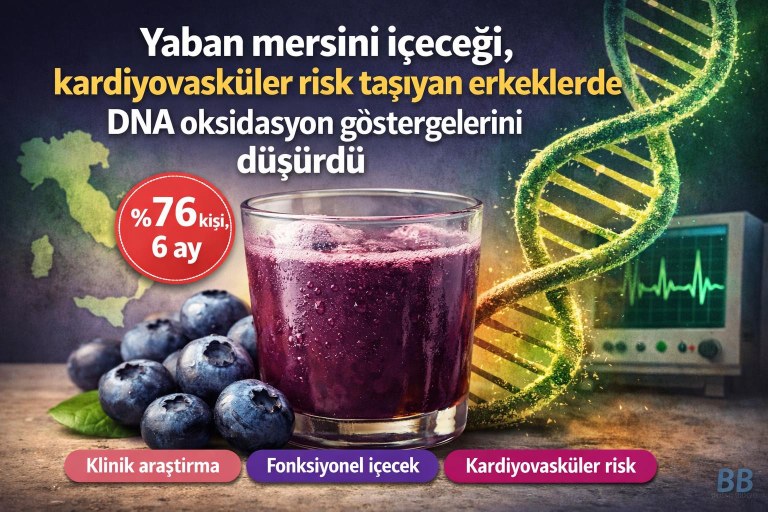 Yaban mersini içeceği, kardiyovasküler risk taşıyan erkeklerde DNA oksidasyon göstergelerini düşürdü görseli