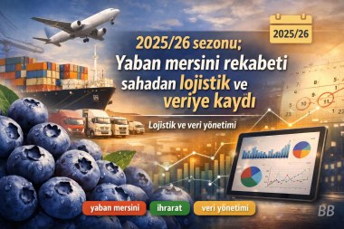 2025/26 sezonu: Yaban mersini rekabeti sahadan lojistik ve veriye kaydı görseli
