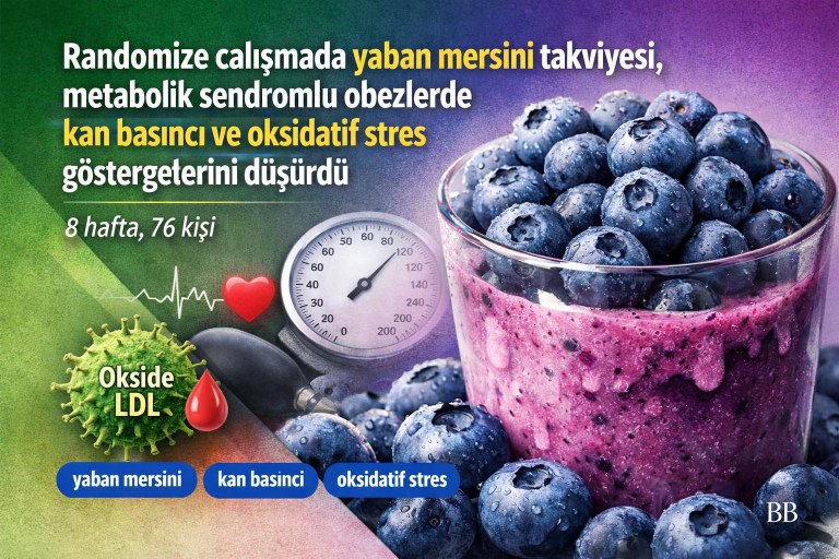 Randomize çalışmada yaban mersini takviyesi, metabolik sendromlu obezlerde kan basıncı ve oksidatif stres göstergelerini düşürdü görseli