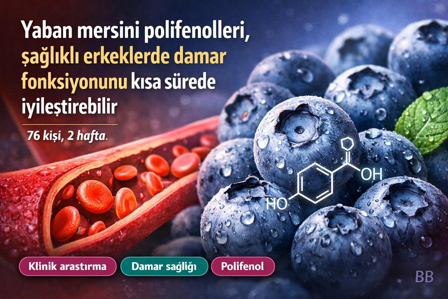 Yaban mersini polifenolleri, sağlıklı erkeklerde damar fonksiyonunu kısa sürede iyileştirebilir görseli