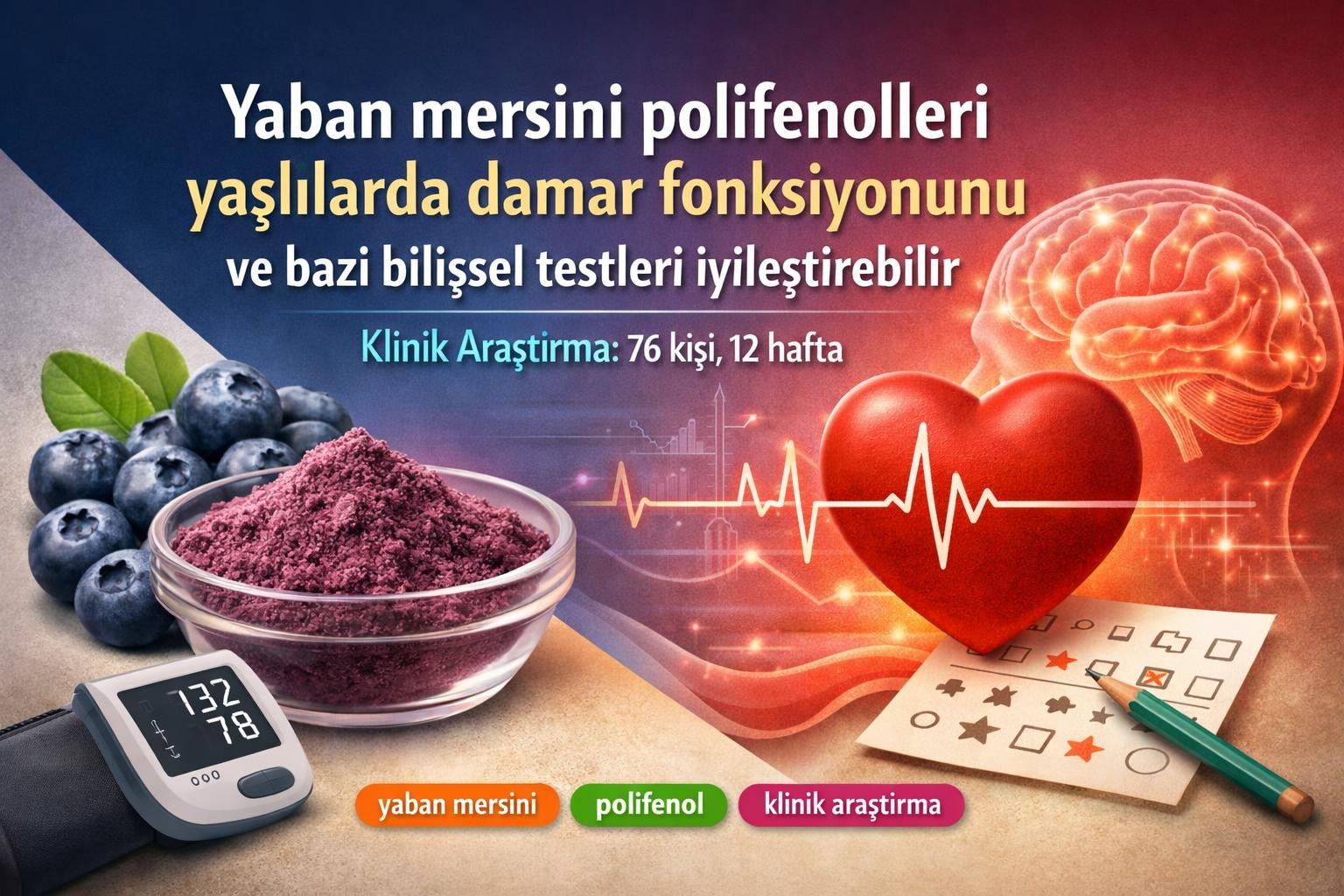 Yaban mersini polifenolleri yaşlılarda damar fonksiyonunu ve bazı bilişsel testleri iyileştirebilir görseli