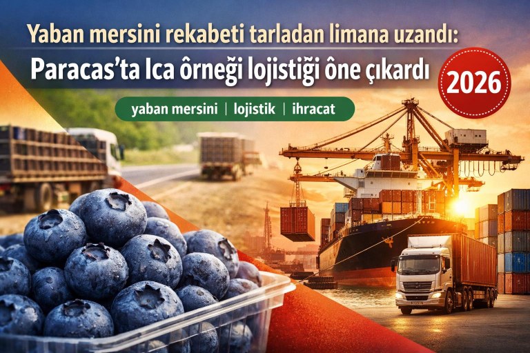 Yaban mersini rekabeti tarladan limana uzandı: Paracas’ta Ica örneği lojistiği öne çıkardı görseli
