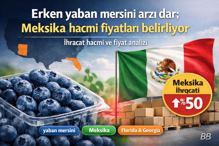 Erken yaban mersini arzı dar; Meksika hacmi fiyatları belirliyor görseli