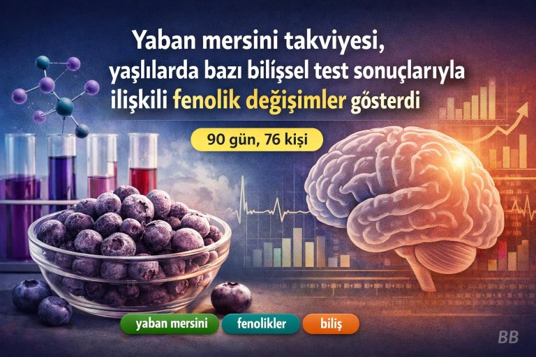 Yaban mersini takviyesi, yaşlılarda bazı bilişsel test sonuçlarıyla ilişkili fenolik değişimler gösterdi görseli