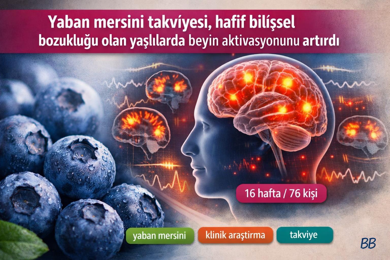 Yaban mersini takviyesi, hafif bilişsel bozukluğu olan yaşlılarda beyin aktivasyonunu artırdı gorseli