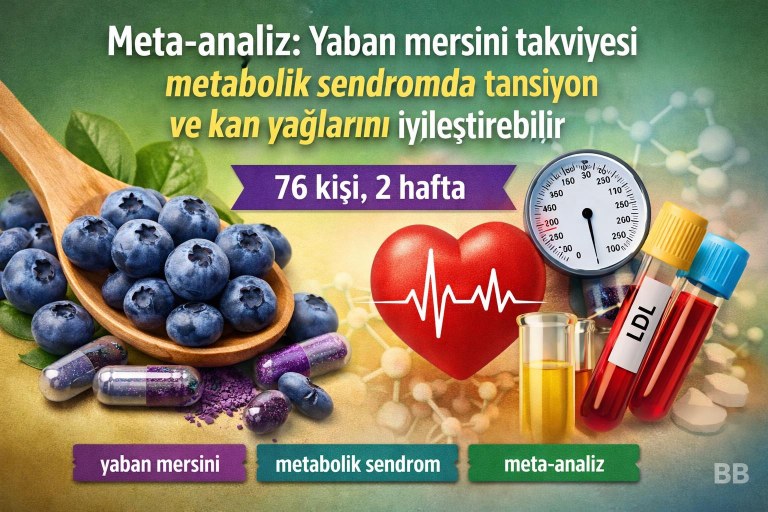 Meta-analiz: Yaban mersini takviyesi metabolik sendromda tansiyon ve kan yağlarını iyileştirebilir görseli
