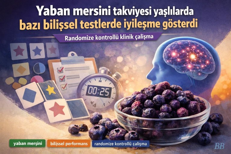 Yaban mersini takviyesi yaşlılarda bazı bilişsel testlerde iyileşme gösterdi görseli