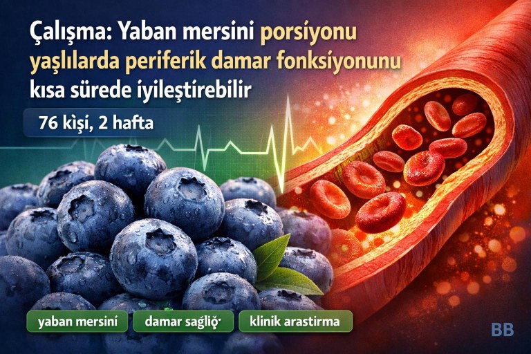 Çalışma: Yaban mersini porsiyonu yaşlılarda periferik damar fonksiyonunu kısa sürede iyileştirebilir görseli