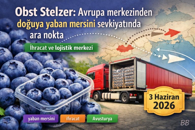 Obst Stelzer: Avrupa merkezinden doğuya yaban mersini sevkiyatında ara nokta görseli