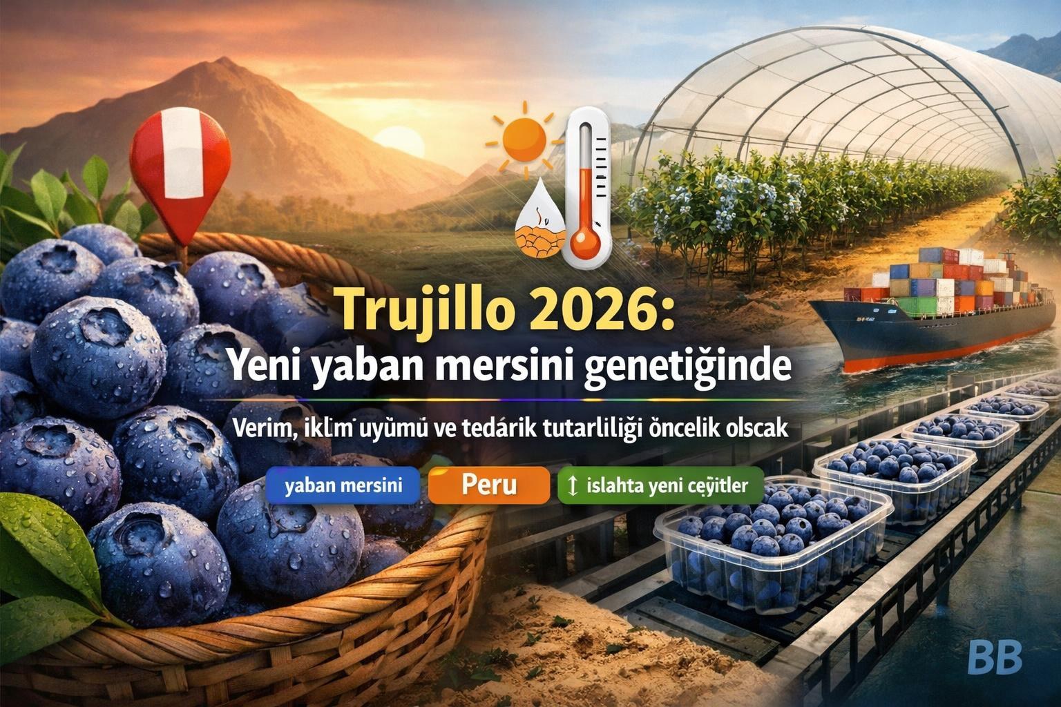 Trujillo 2026: Yeni yaban mersini genetiğinde verim, iklim uyumu ve tedarik tutarlılığı öncelik olacak görseli