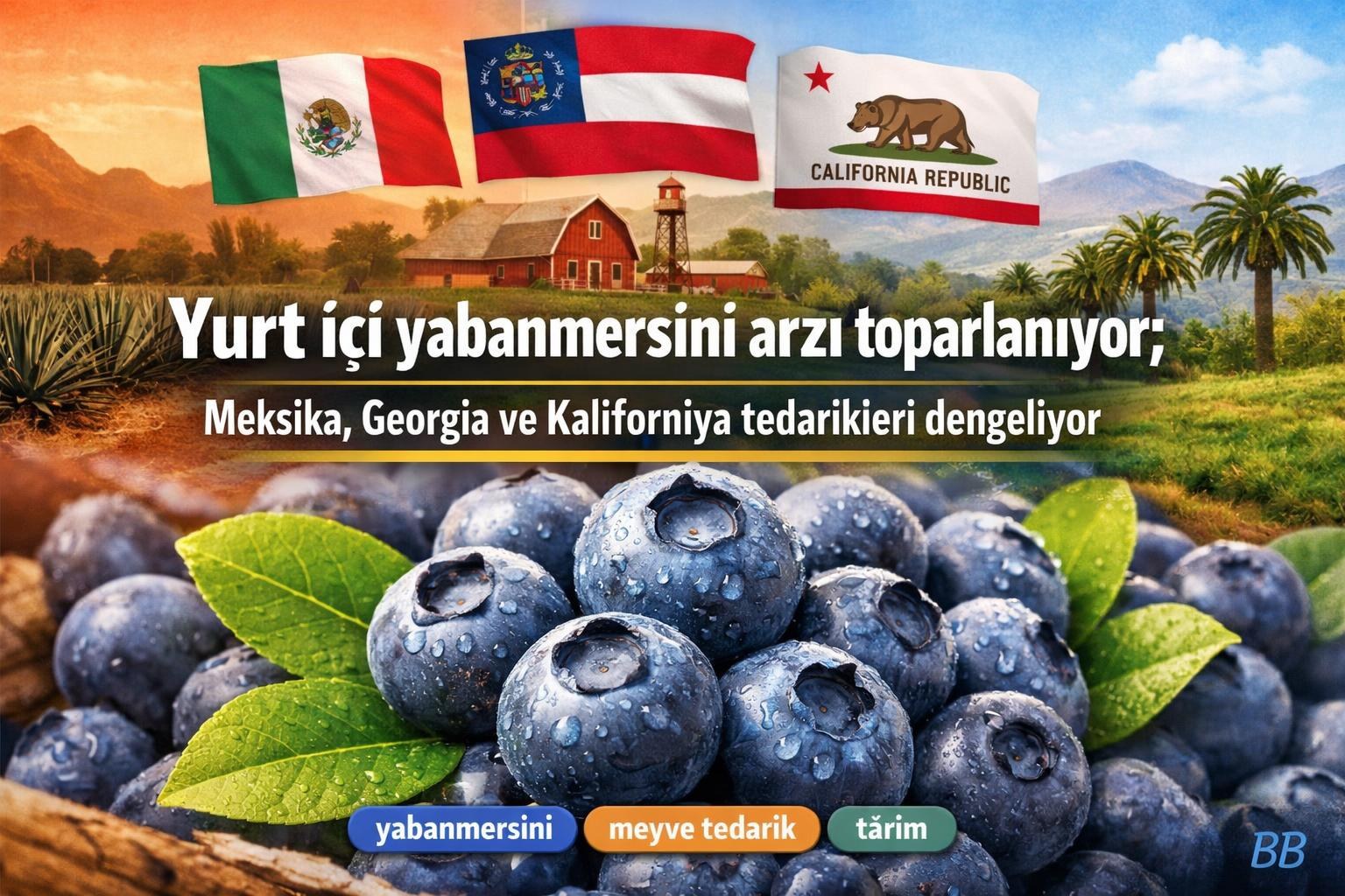 Yurt içi yabanmersini arzı toparlanıyor; Meksika, Georgia ve Kaliforniya tedarikleri dengeliyor görseli