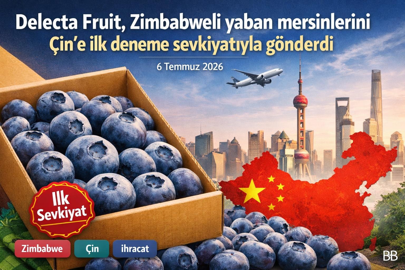 Delecta Fruit, Zimbabweli yaban mersinlerini Çin’e ilk deneme sevkiyatıyla gönderdi gorseli