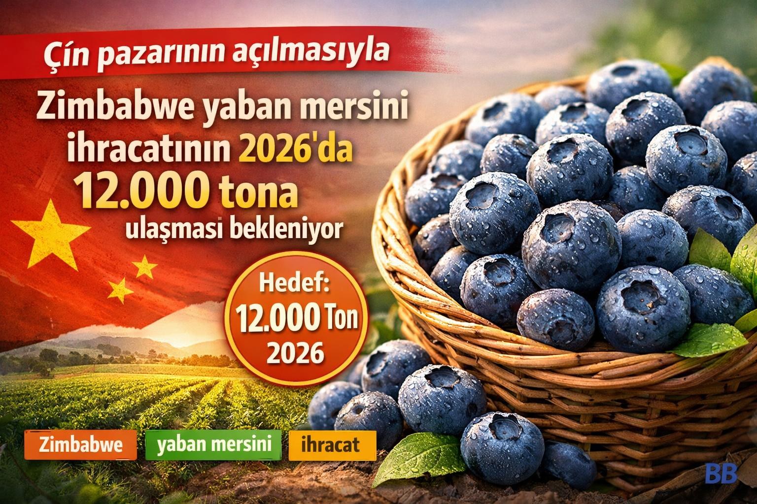Çin pazarının açılmasıyla Zimbabwe yaban mersini ihracatının 2026'da 12.000 tona ulaşması bekleniyor gorseli