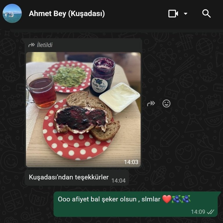 Yaban Mersini Marmelatı — 400 gr gorseli 5