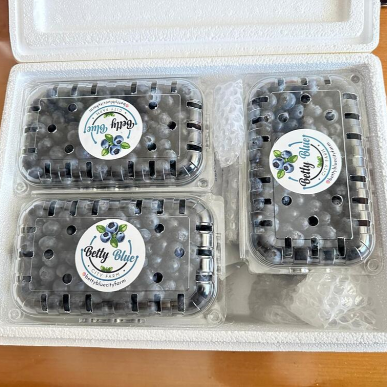 Taze Yaban Mersini - Ön Sipariş (720 TL/kg) gorseli 2