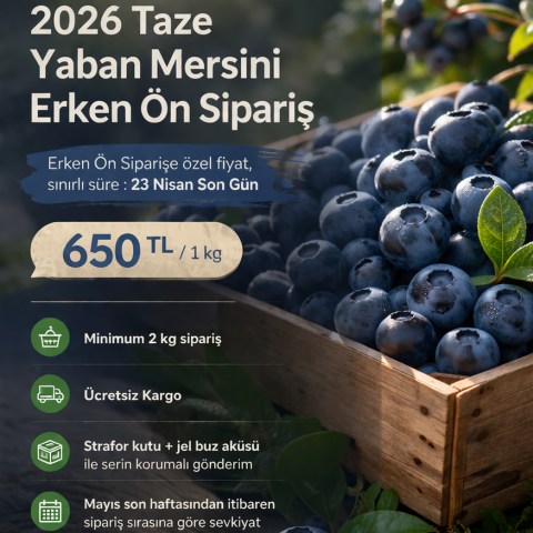 Taze Yaban Mersini - Ön Sipariş (650 TL/kg)