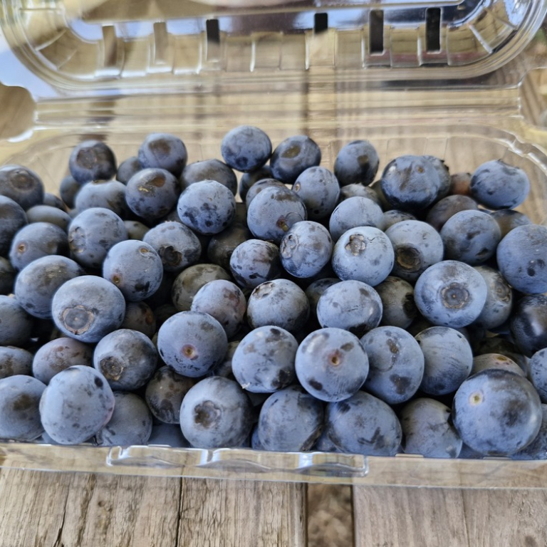 Taze Yaban Mersini - Ön Sipariş (720 TL/kg) gorseli 5