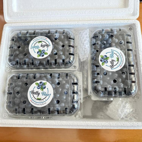 Taze Yaban Mersini (820 TL/kg)