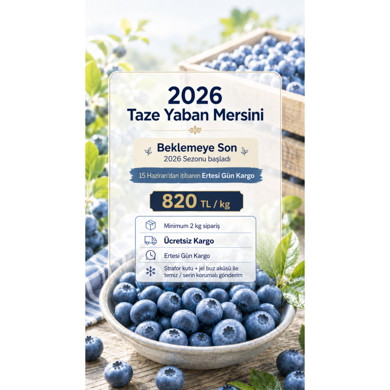 Taze Yaban Mersini (820 TL/kg) gorseli 3