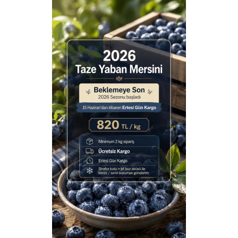 Taze Yaban Mersini (820 TL/kg)