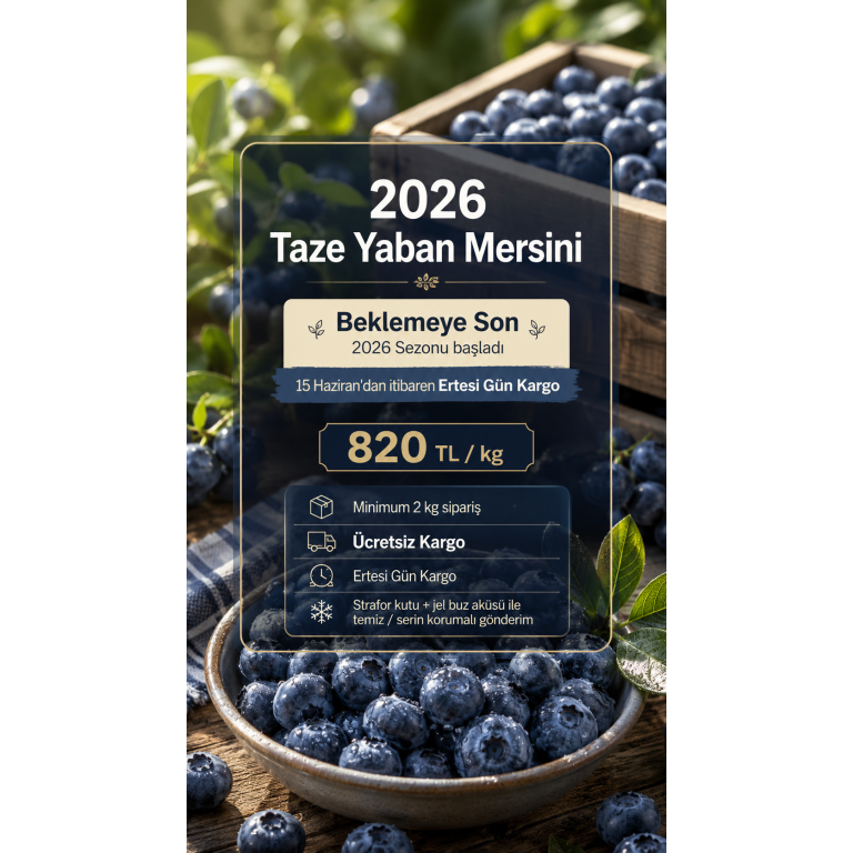 Taze Yaban Mersini (820 TL/kg) gorseli 1