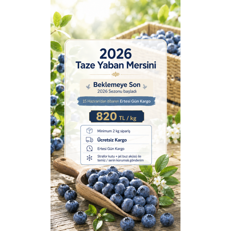 Taze Yaban Mersini (820 TL/kg) gorseli 2